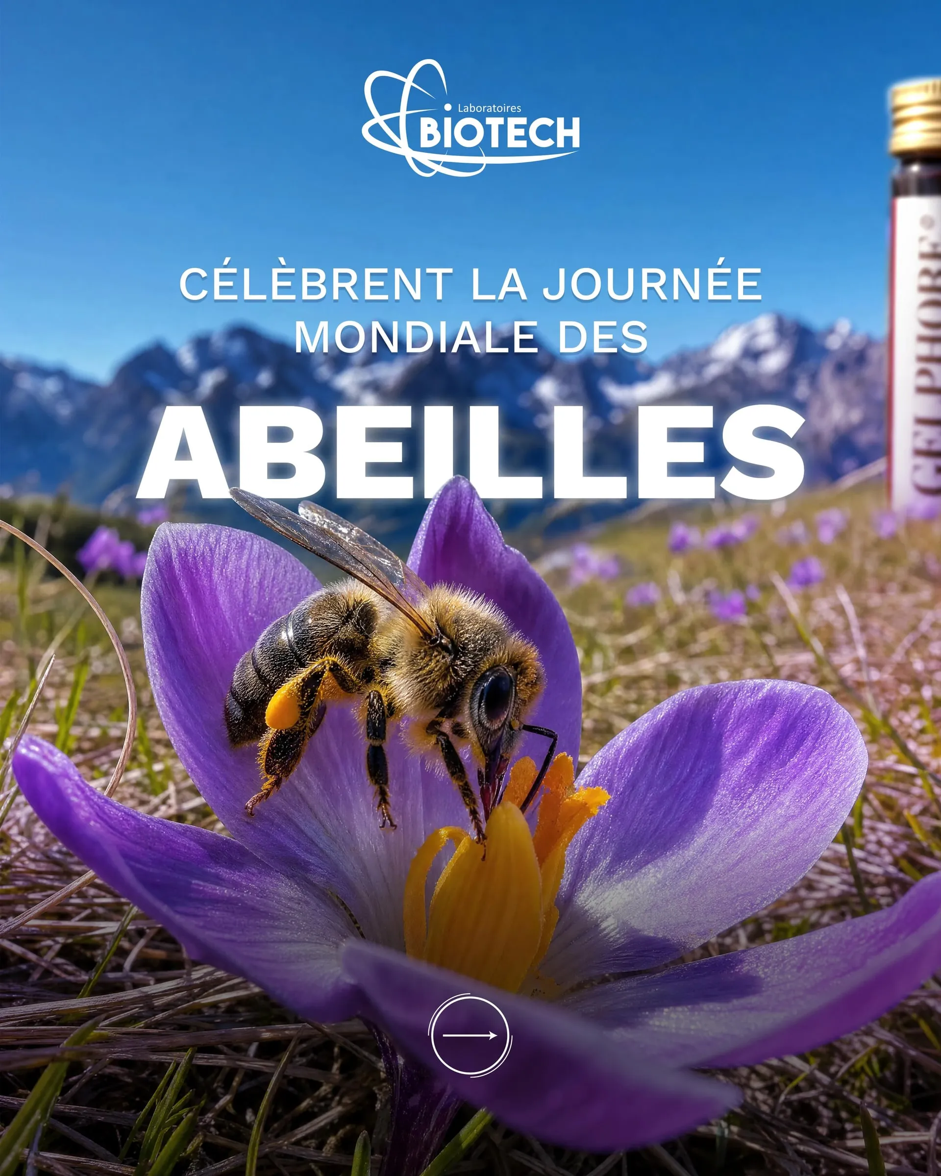 Social media posts for Laboratoires Biotech · Gelphore