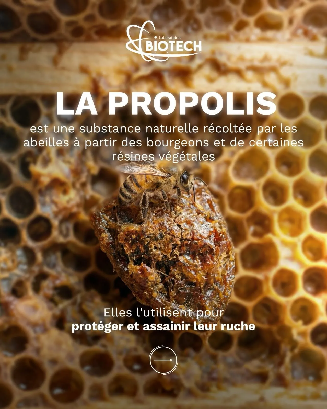 Social media posts for Laboratoires Biotech · Gelphore