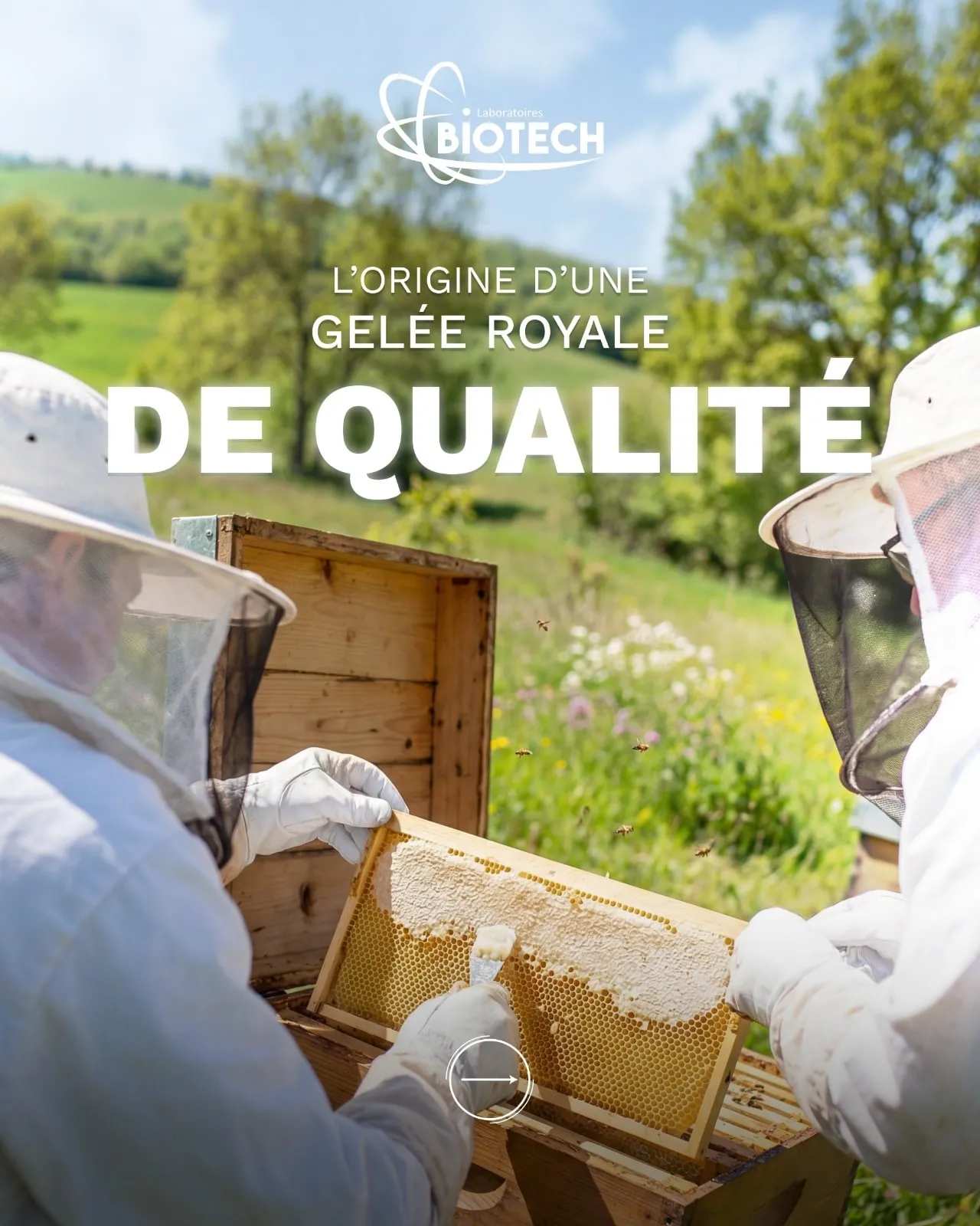 Social media posts for Laboratoires Biotech · Gelphore